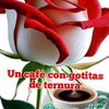 jucarcuta365impulsa