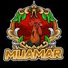 muamar113__