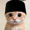 fzzdn8