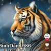 thai_dinhtran