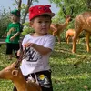 dyoabxi7pjlk