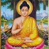 bishnushrestha533380