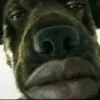 phillydjonk