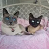 midnightmoon_uk
