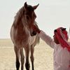fahd_almarri