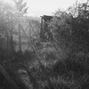 mareklysy0