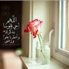 faizamaalashi