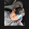 alvarezalex59