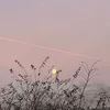 sunandstardust
