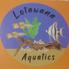 lotawana_aquatics