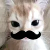 xmarii_al_