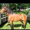 lynnregister751