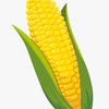 cobbed_corn_