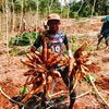 asepyuliyanto427