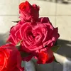 il_giardino_dei_fiori_