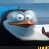 random_ernie