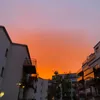 tilia_213.322343