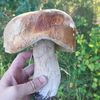 050777slava