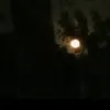 n1ght.lna