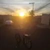 norbertt_46