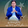 shahidpti804_