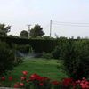 warraich4664