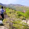 sardarsardar804