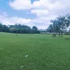 lyeu_1