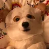 jajdjbsgwbsinwywk