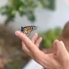 josuenotelodigo