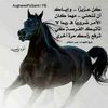 dyayvp7at5a2