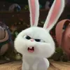 sun_iuoi