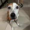 Coeli