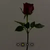 justlildream
