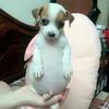 ivan_19038