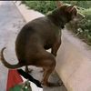 sherman_one_love