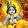 krish45516