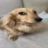 skllll_y