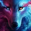 _wolf_on_crack_