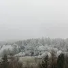 reginapsonak
