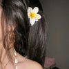 dy8ay6xdj6vn