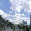 nniar_a
