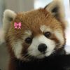 ffangggy