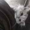 saybuoiimisvtdua1