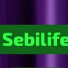 sebilife_onlineis