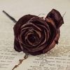 therius_shallom