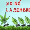 juancarlosfrankli