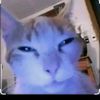 grand_.angora.v3