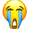 soyvoyej