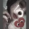 hongtham.bi08